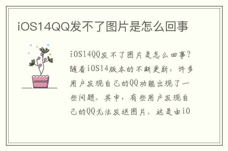 iOS14QQ发不了图片是怎么回事